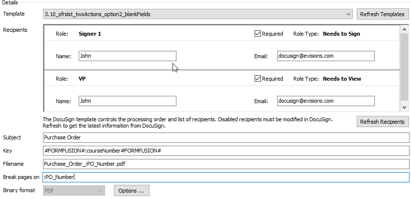 Details section of the DocuSign Director, used to manage the output