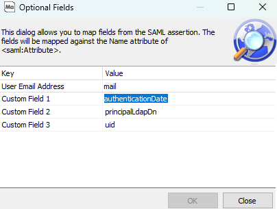 Configuration dialog for assigning values to custom fields