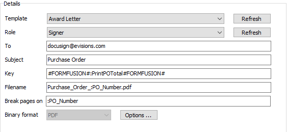 Details section of the DocuSign Director, used to manage the output